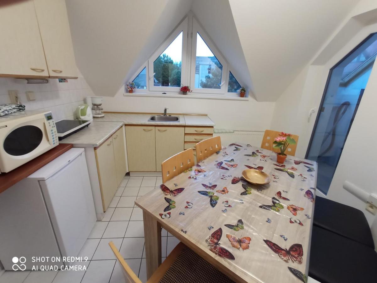 הַרָכוֹב Apartman Violeta מראה חיצוני תמונה