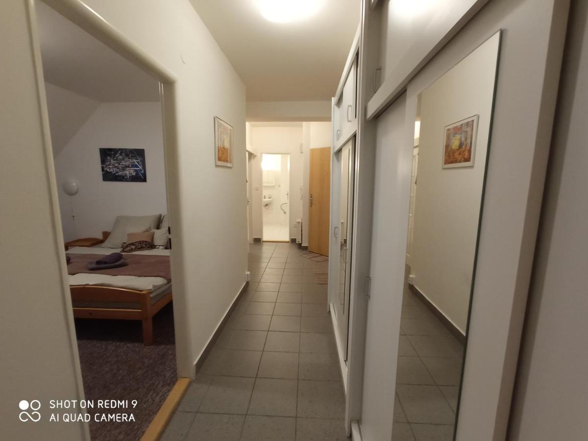 הַרָכוֹב Apartman Violeta מראה חיצוני תמונה