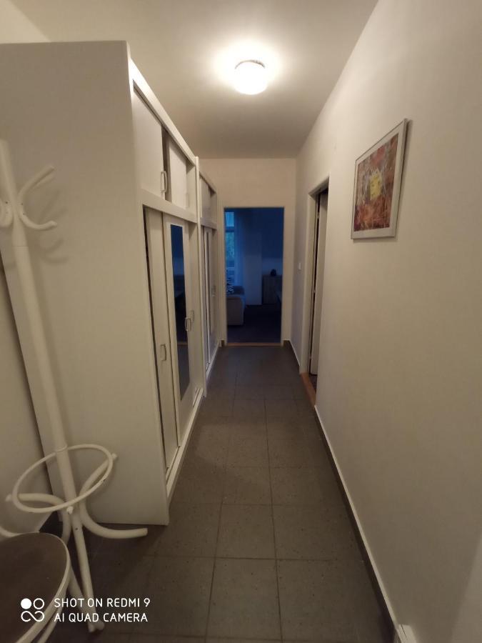 הַרָכוֹב Apartman Violeta מראה חיצוני תמונה